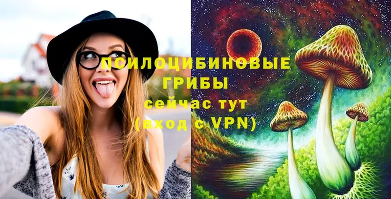 где купить наркоту  кракен зеркало  Галлюциногенные грибы GOLDEN TEACHER  Бузулук 